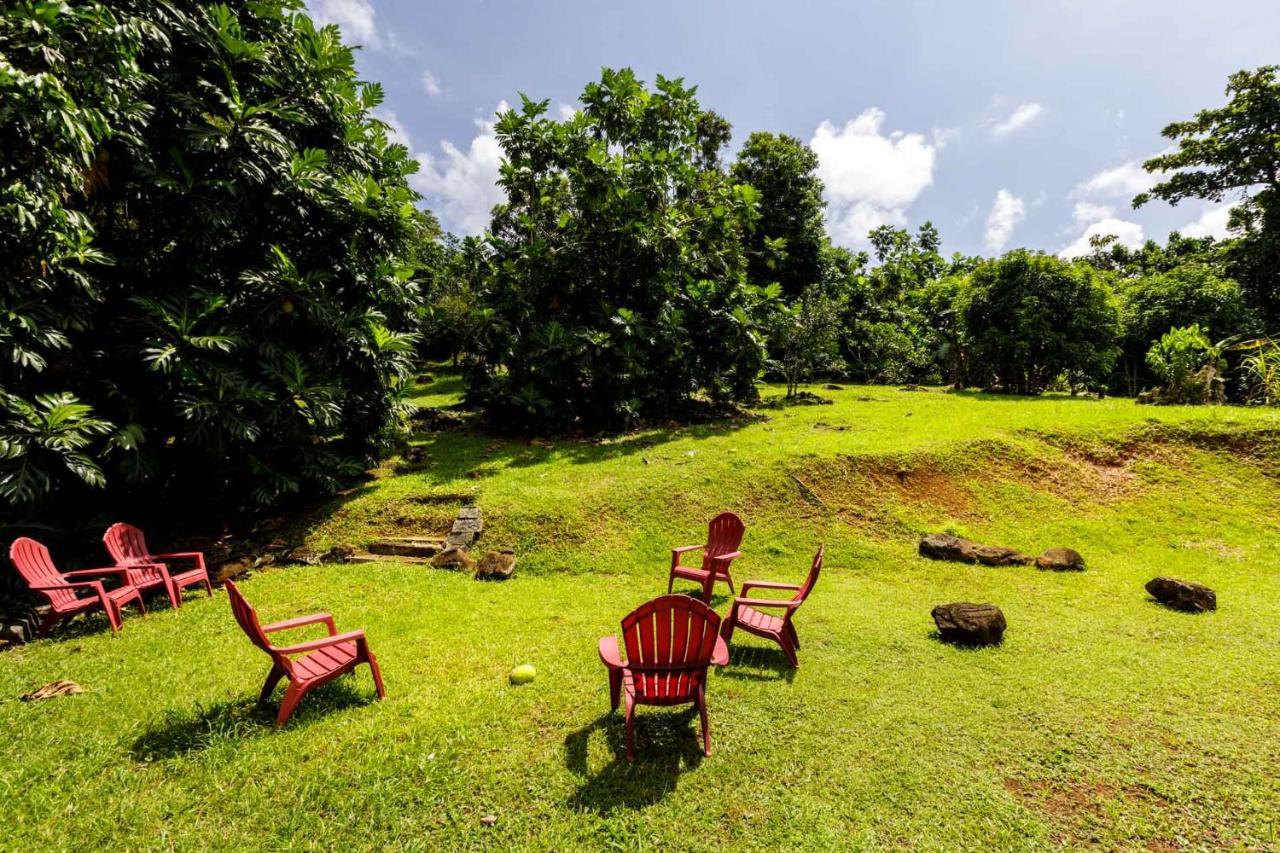 Rainforest Retreat 15 Min From The Beach Luquillo Exterior foto