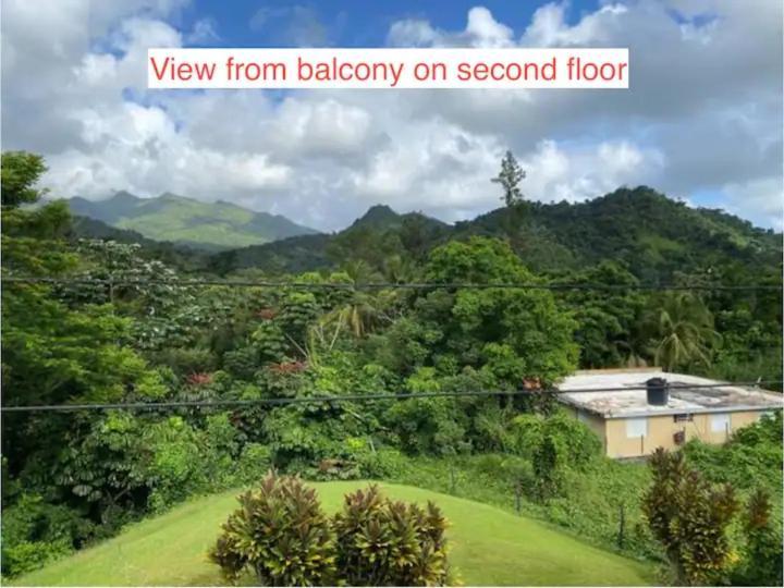 Rainforest Retreat 15 Min From The Beach Luquillo Exterior foto